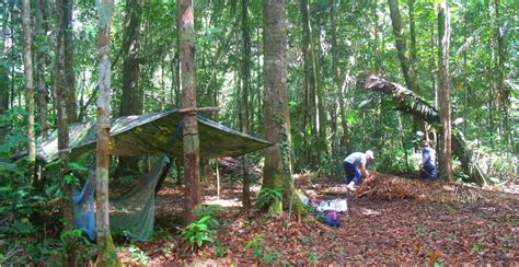  A Bolina: Uma História de Amor Mágico e Desafios Sobrenaturais na Selva Amazônica!