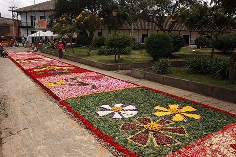  Flor de Cundinamarca: Uma História Encantadora Sobre Amor e Sacrificio na Colômbia do Século XV!