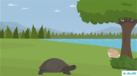  The Butterfly and the Tortoise - Um conto tradicional sul-africano sobre perseverança e autoconhecimento?