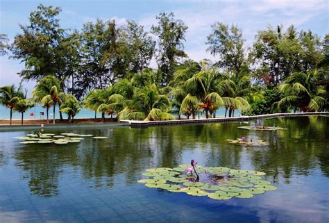  The Curious Tale of Cherating Beach! A Malaysian Folktale Exploring Themes of Love and Sacrifice