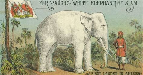  The White Elephant:  A Mystical Tale Of Fortune And Misfortune From 19th-Century Siam!