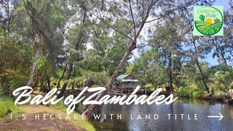  The Zambales Weaver - A Timeless Tale of Perseverance and Resourcefulness!